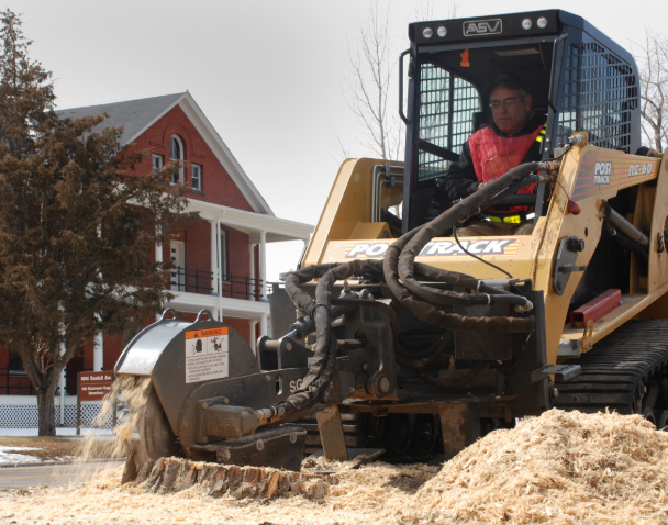 this image shows stump removal in Fullerton