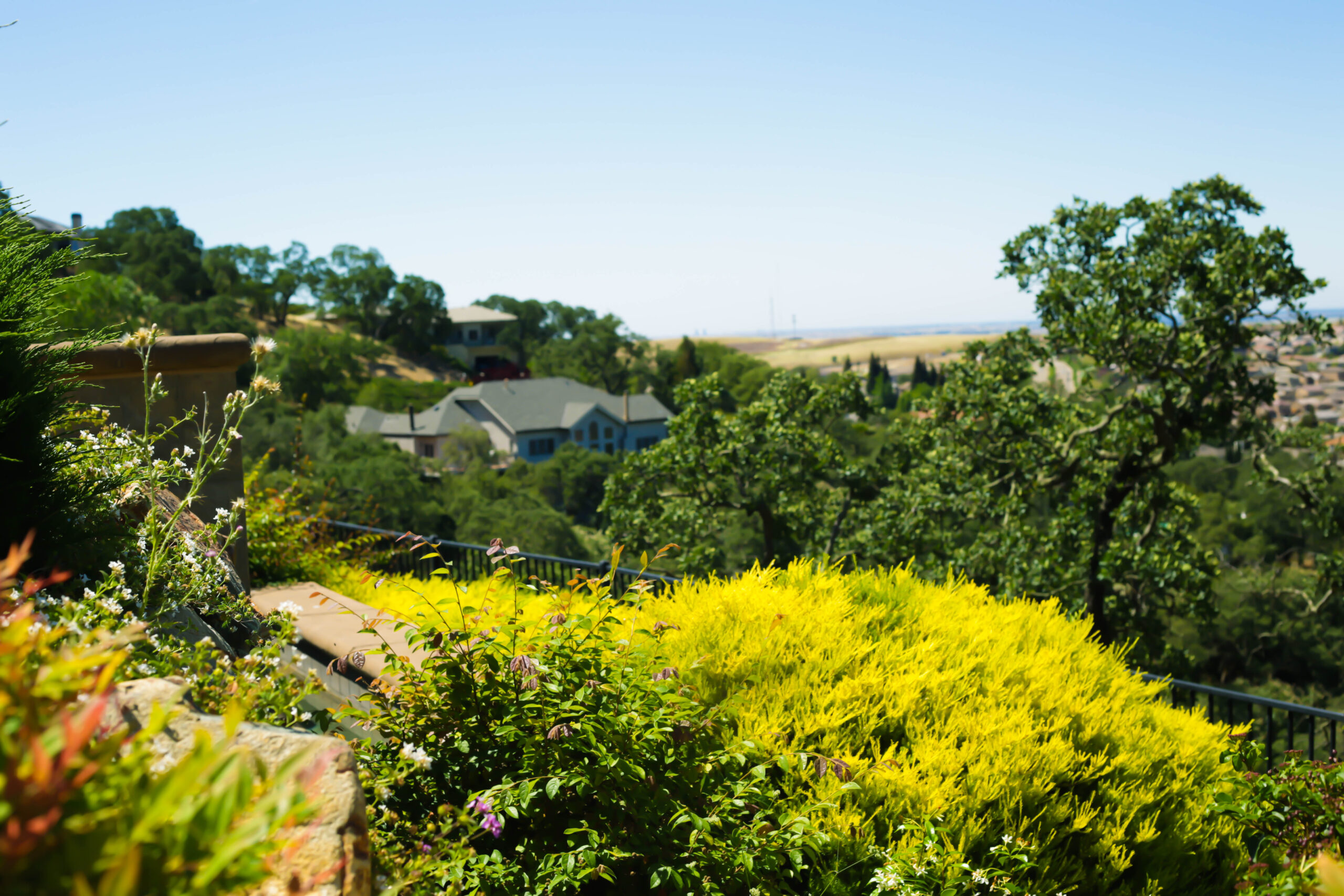 this image shows tree service fullerton job