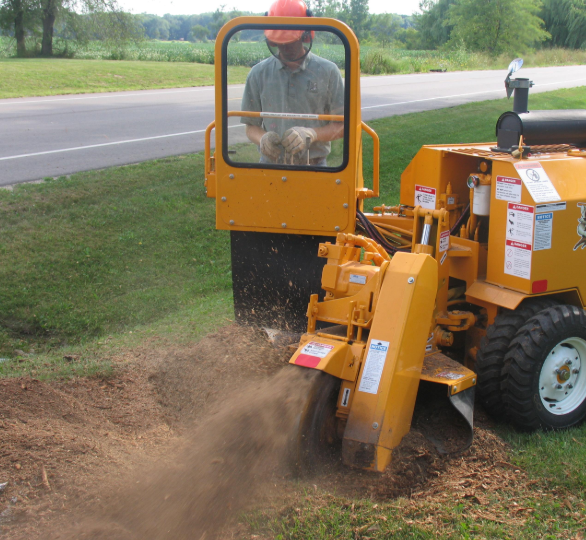 A picture of stump grinding in Fullerton, CA.